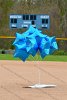 Softball Senior Day  Wheaton College Softball Senior Day. - Photo by Keith Nordstrom : Wheaton, Softball, Senior Day